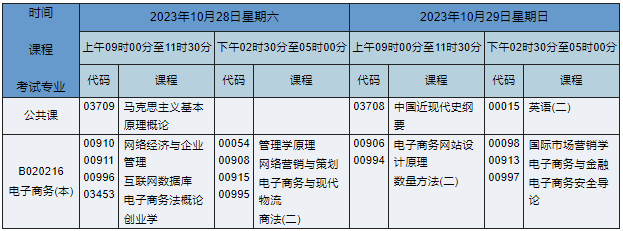 B020216电子商务(本) B020216电子商务(本)